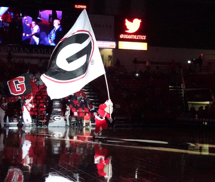 UGA vs. Clemson 22-Dec-15 Fan/Action Photos