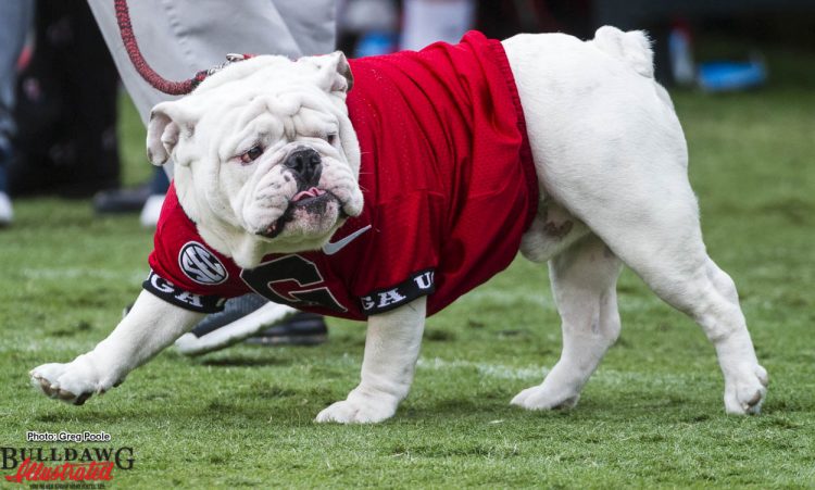 Uga