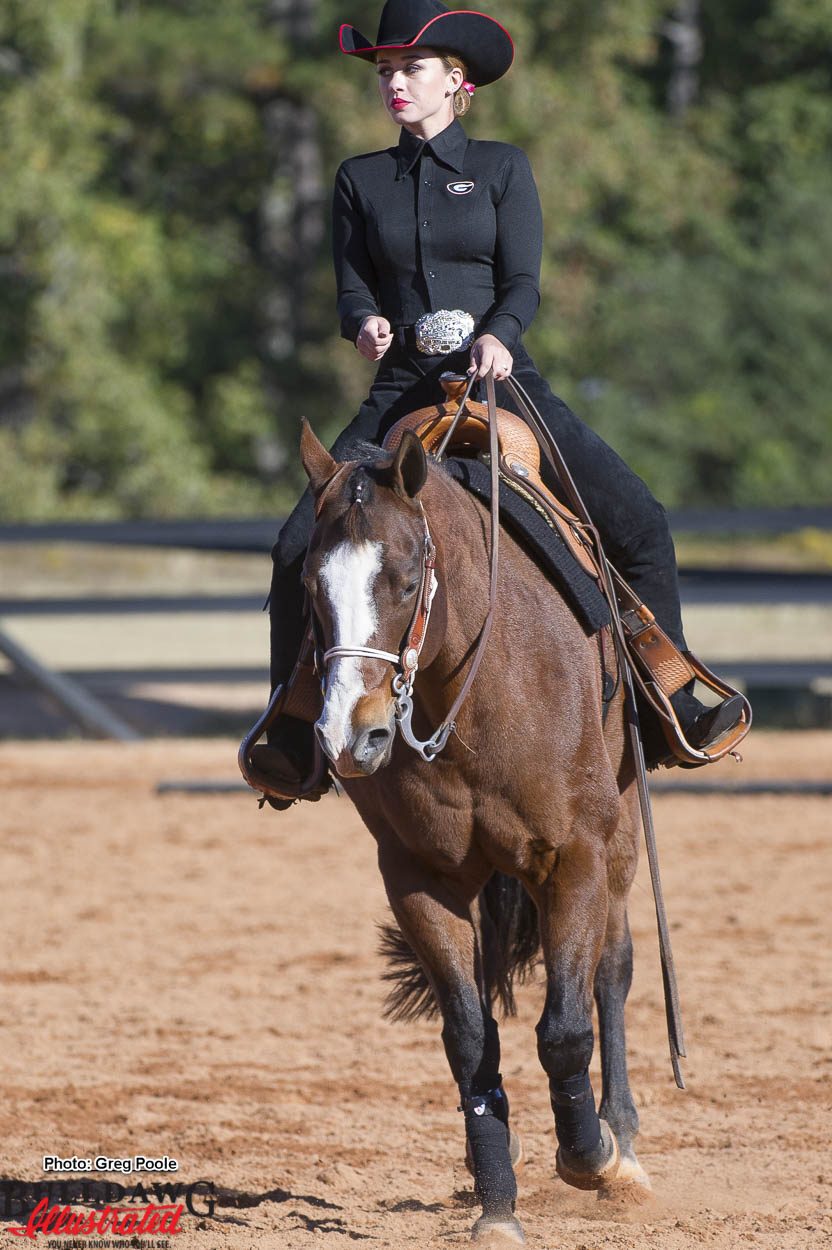 Equestrian – Georgia vs. Tennessee-Martin