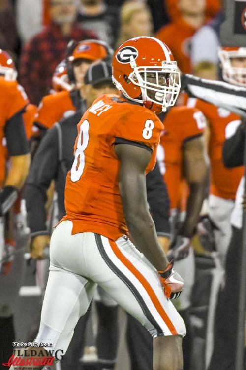 Wide receiver Riley Ridley - Georgia vs Auburn 12-Nov-2016
