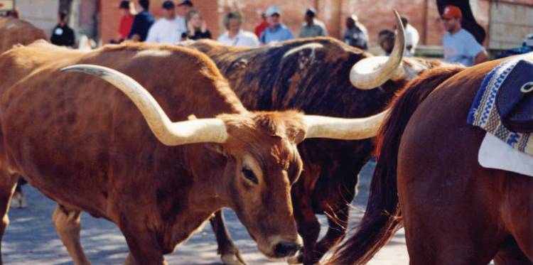 A view from Fort Worth, Texas