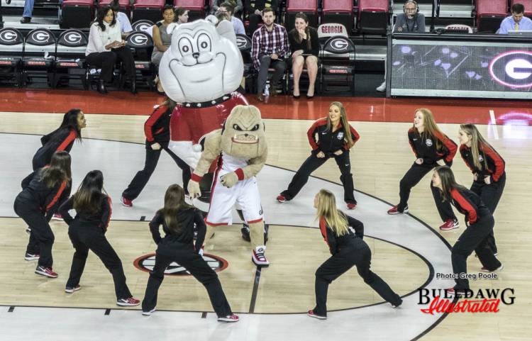The Dance Dawgs, Hairy and Spike