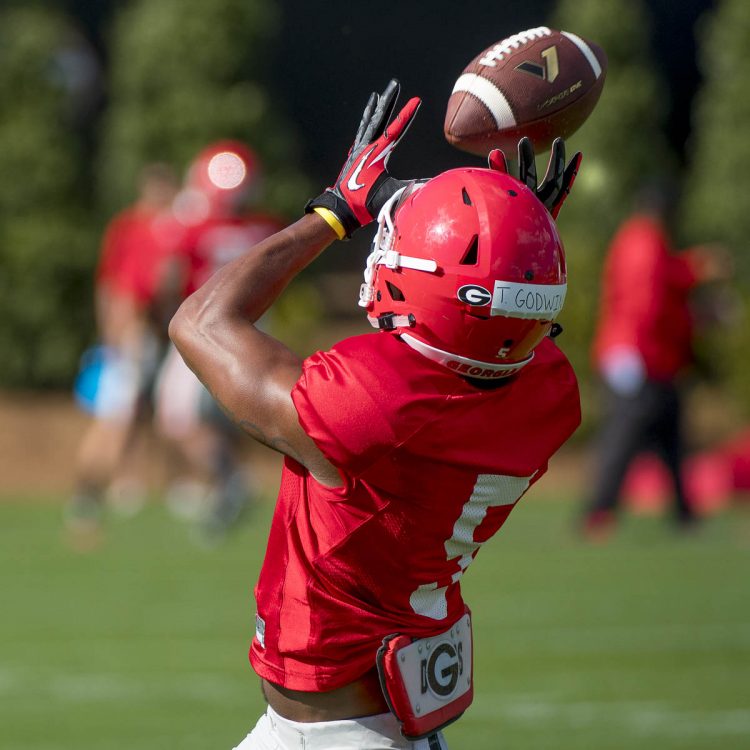 Terry Godwin