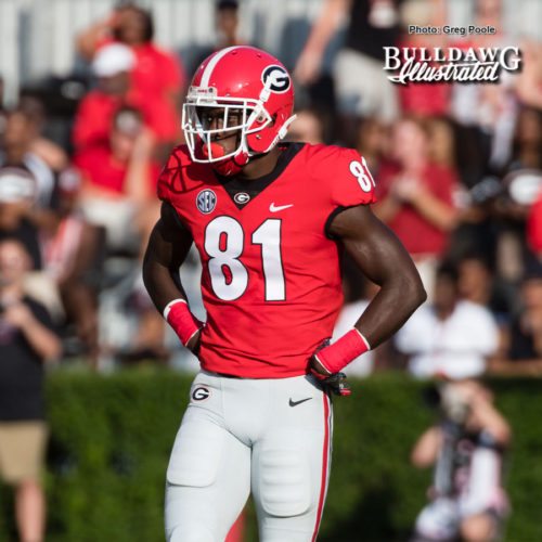 Mark Webb, Jr. (81) - Appalachian State vs. UGA - Saturday, Sept. 2, 2017