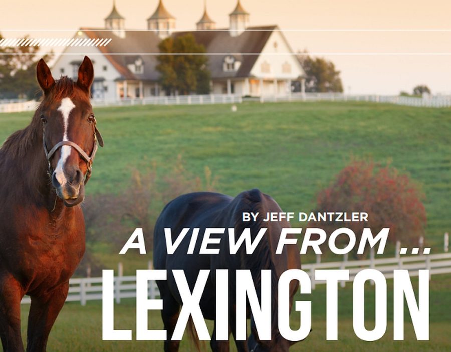A-view-from-Lexington-KY