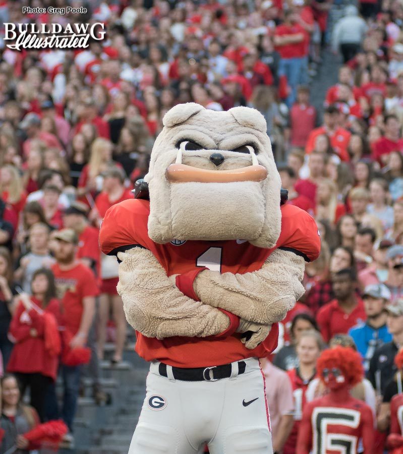 Hairy Dawg - Georgia vs. Kentucky - Saturday, Nov. 18, 2017